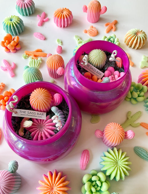 The Sass Bar Cactus Bloom Candle